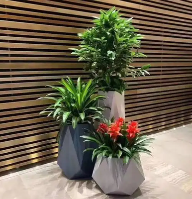 杭州綠植租賃-浙大團隊品質保障，花卉綠植租借一體化服務